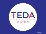 TEDA-WSI